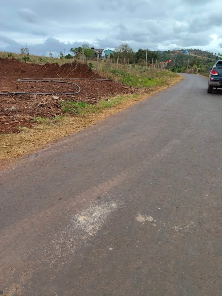 Đất Vàng 5000m² Mặt Tiền 32m Đường Nhựa Liên Xã Krông Búk - Đắk Lắk - Giá 2.4 Tỷ