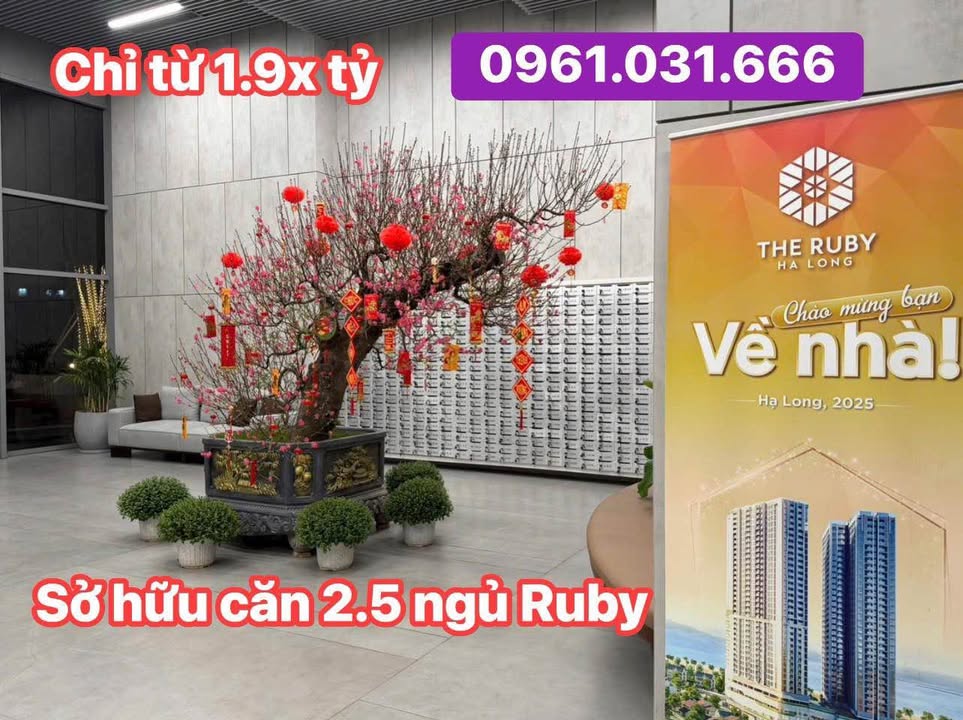 Chung cư The Ruby Hạ Long 67.7m² - Giá từ 2.05 tỷ, View biển đẹp