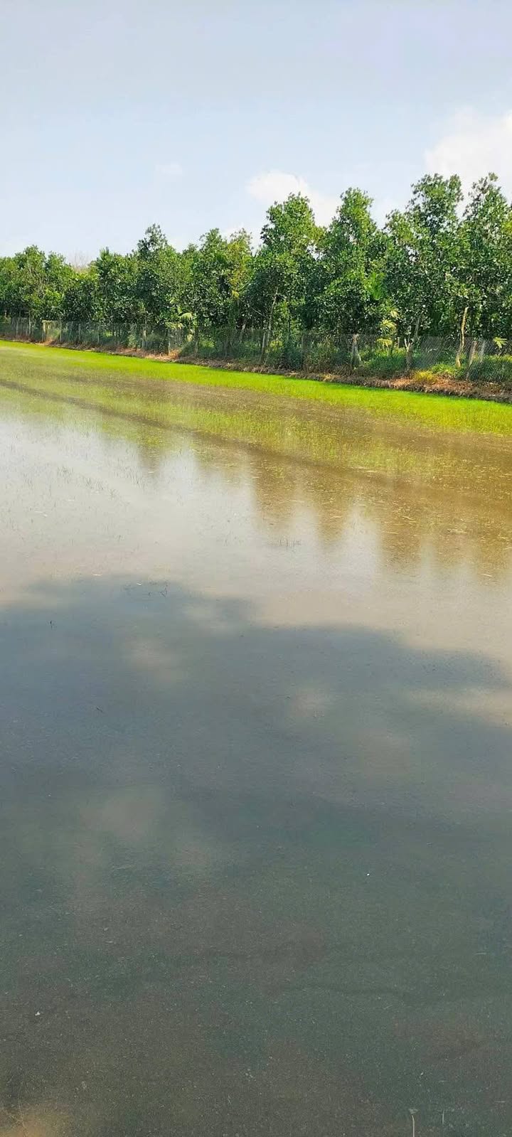 Đất nền Tân Kiều Tháp Mười 7000m² - Giá đầu tư tốt!