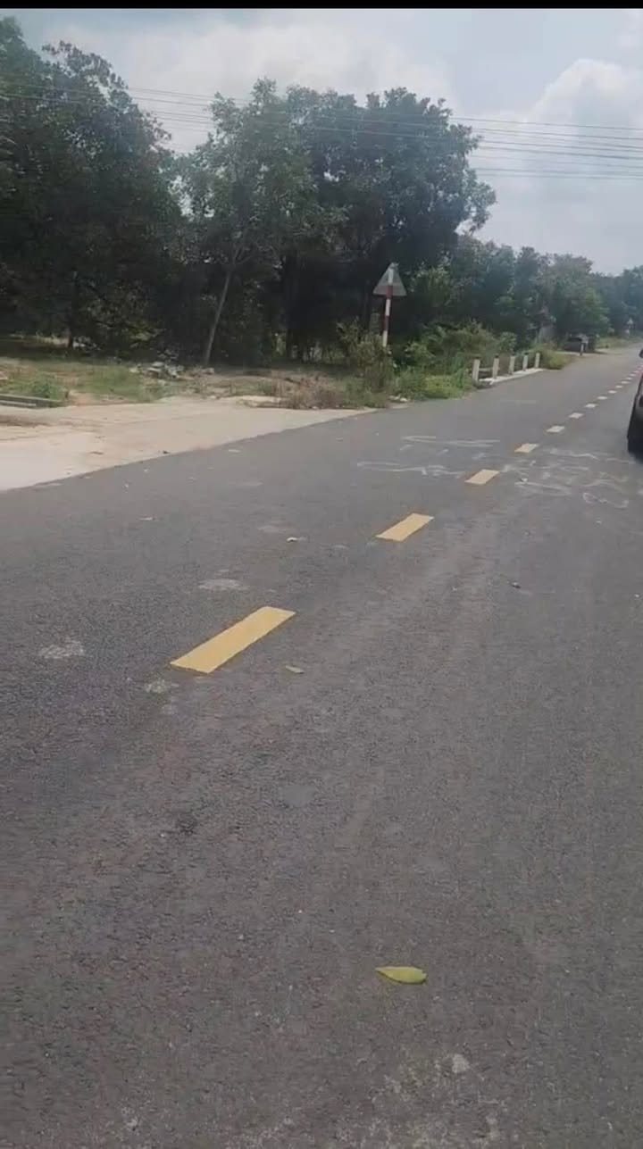 Đất Nền Nam Chính, Đức Linh 1750m² - Sổ Hồng Sẵn Sàng, Giá 870 Triệu