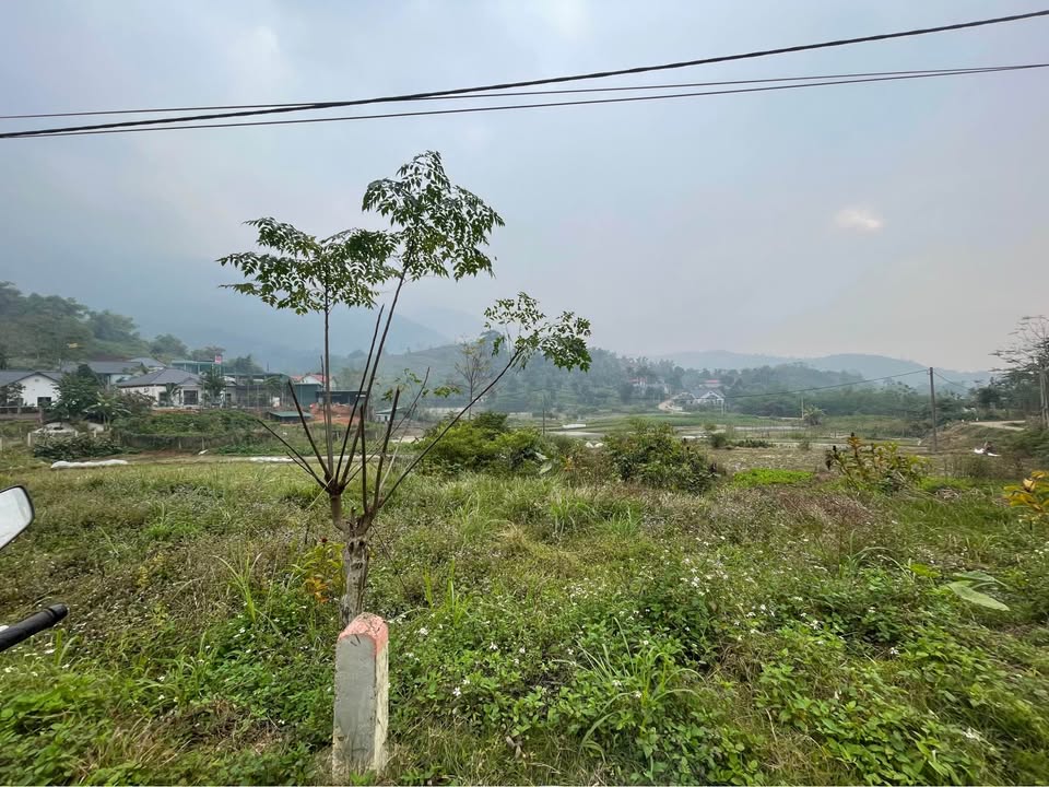 Đất vườn Ba Vì 200.000m² dưới 10 tỷ - Sổ hồng sẵn, view núi cực đẹp!