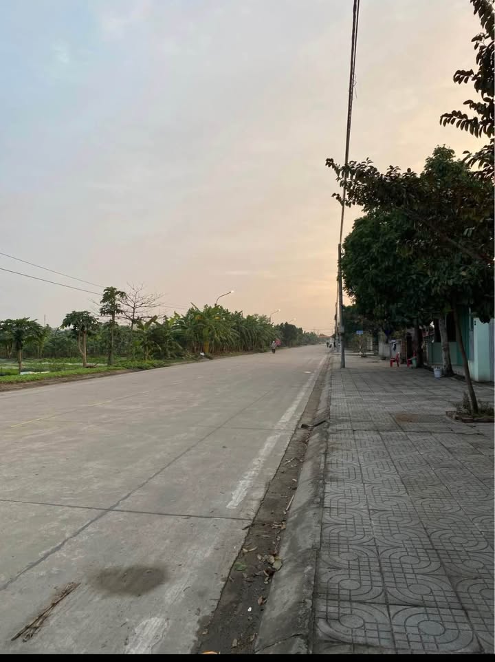 Đất nền Trần Quang Khải 100m² - Tiềm năng tăng giá vượt trội!