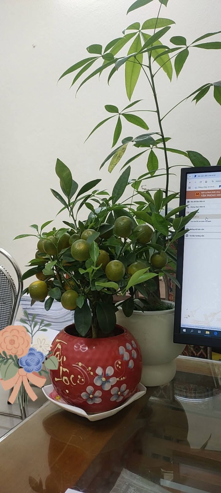 Nhà riêng Kim Sơn 275m² - Ô tô vào tận nhà, sẵn sàng ở ngay!