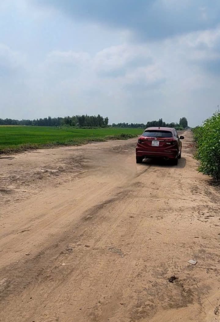 Đất nền Củ Chi 2526m² mặt tiền kênh - Tiềm năng tăng giá vượt trội!