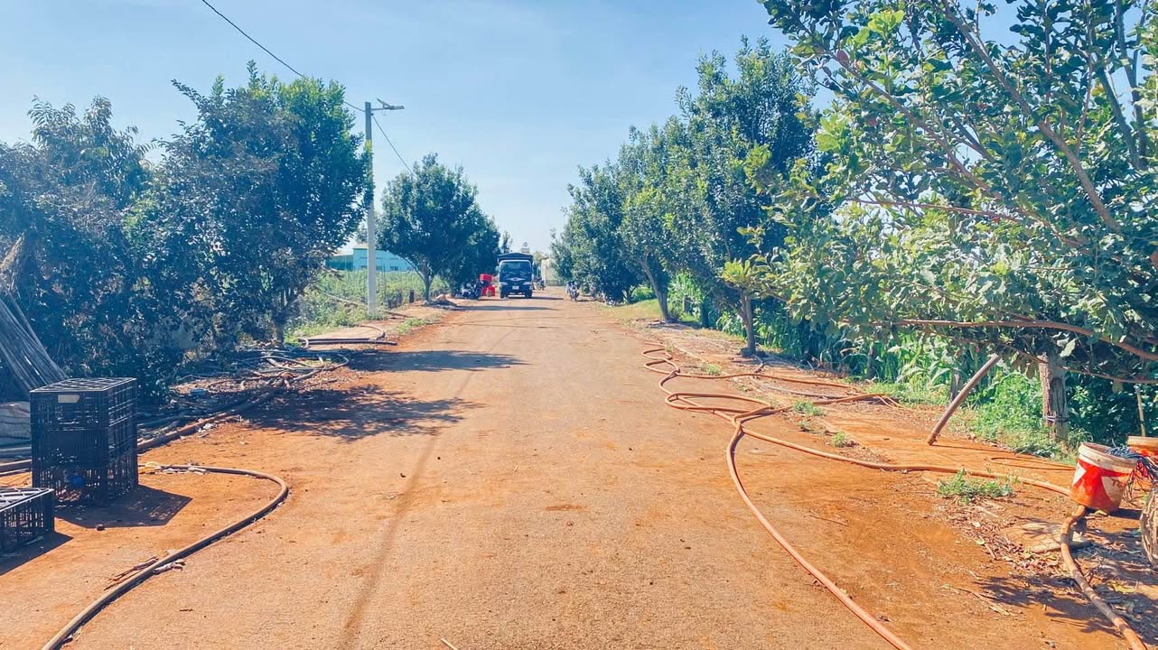 Đất Nền Đức Trọng 113m² Sổ Đỏ Sẵn Sàng - Giá Chỉ 1.2 Tỷ