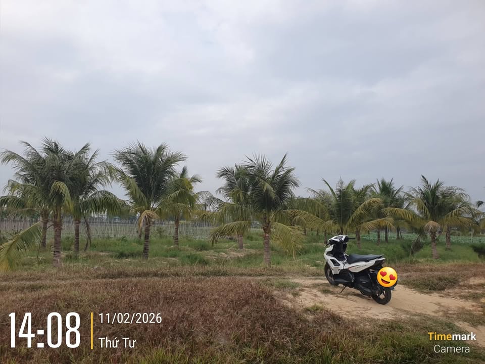 Bán Gấp 5 Công Đất Vị Trí Đắc Địa Phường Ninh Thạnh, Tây Ninh