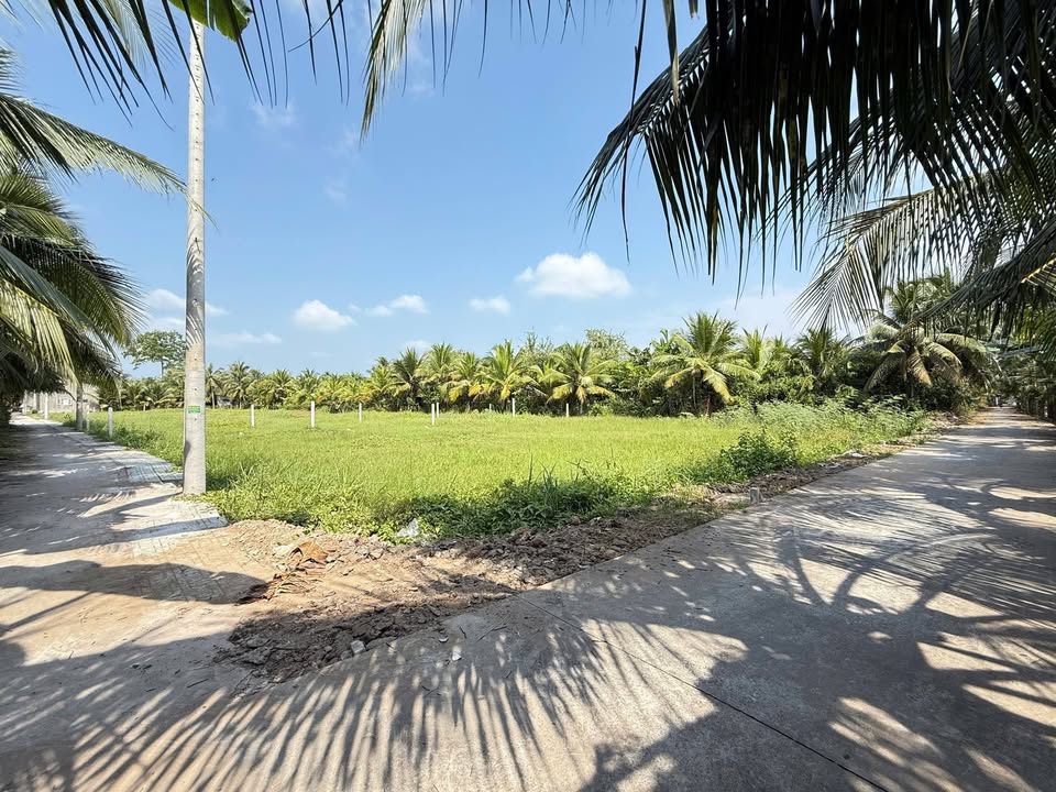 Đất nền Phường Hoà Thuận, TP Cao Lãnh 100m² - Tiềm năng tăng giá vượt trội