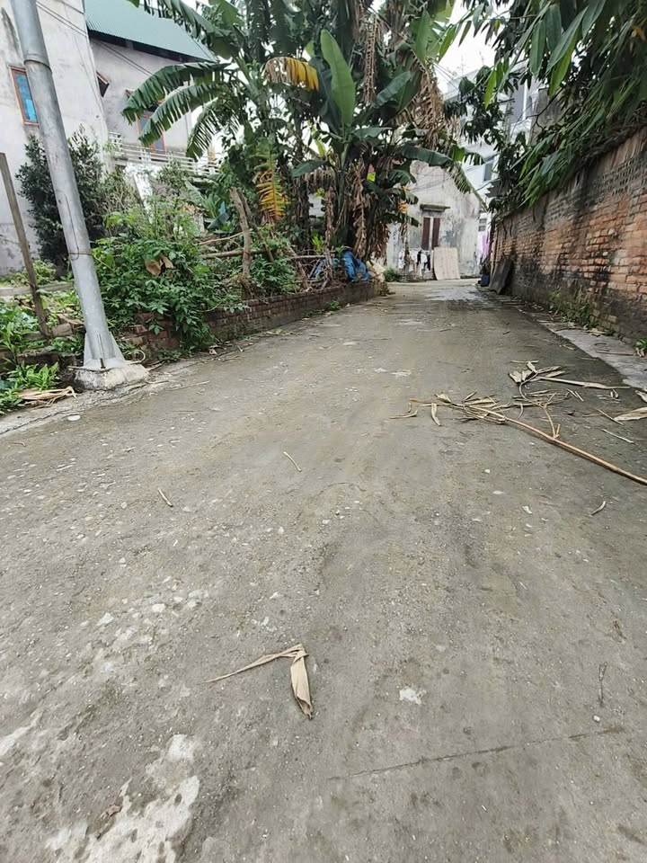 Đất nền TDP Lê Xá, Mỹ Hào, Hưng Yên - 67m² Sổ đỏ, Giá tốt đầu tư