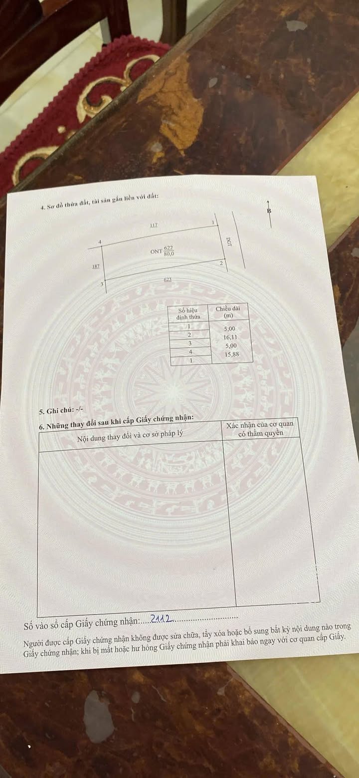 Đất nền Tân Lập Thái Thụy 80m² - Sổ đỏ sẵn, giá chỉ 7xx triệu