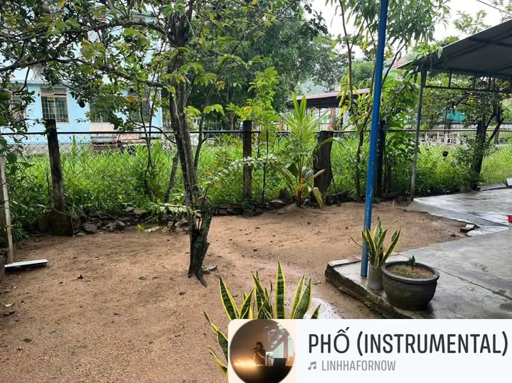 Bán Gấp Nhà Cấp 4 140m² Mặt Tiền 7m Thị Trấn La Hai - Giá 650 Triệu