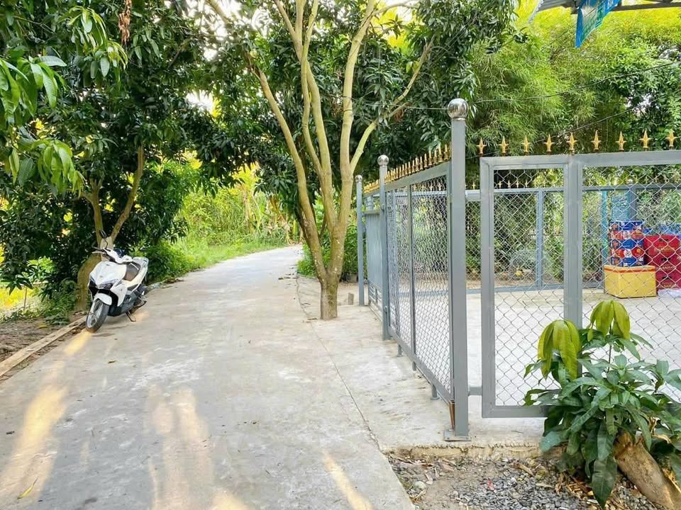 Đất Nền Mỹ Tân Đồng Tháp - 175m² Sổ Hồng Sẵn Sàng