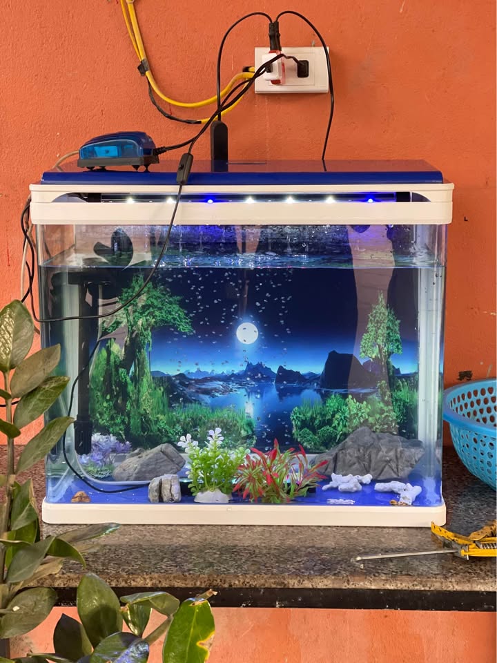 Đất nền Thanh Hóa 80m² - Sổ đỏ chính chủ, tiềm năng tăng giá!