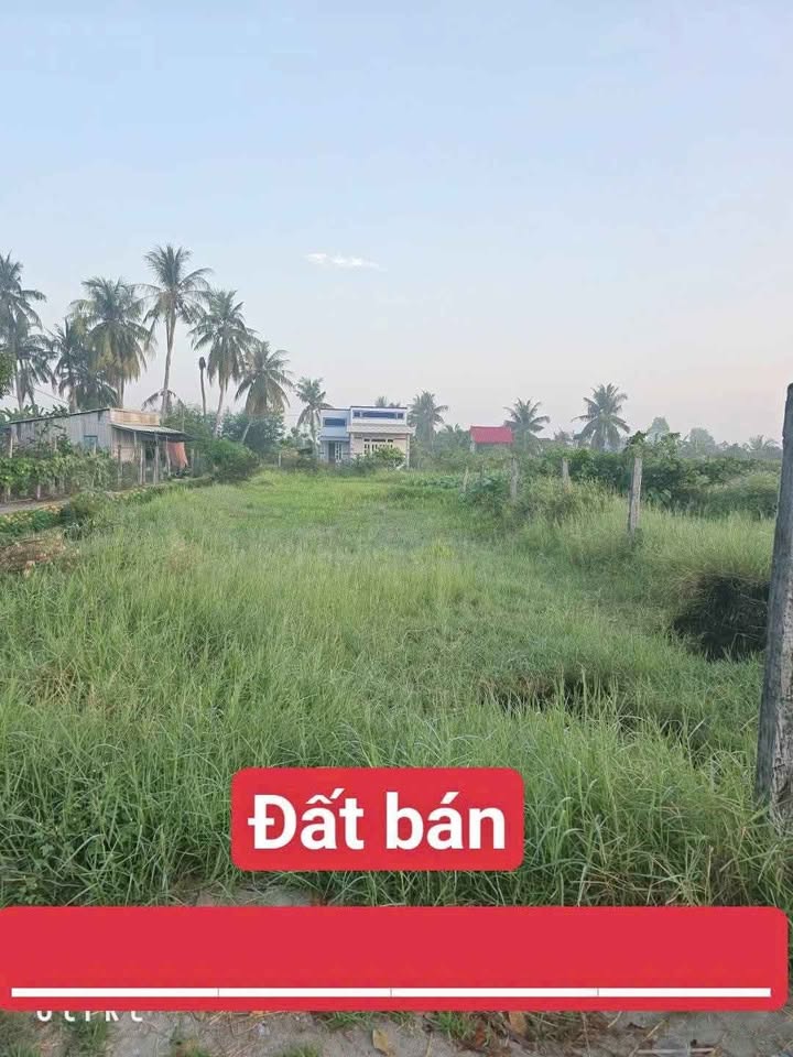 Đất Vườn Long An 729m² - 2 Mặt Tiền Đường Ô Tô, Giá 600 Triệu