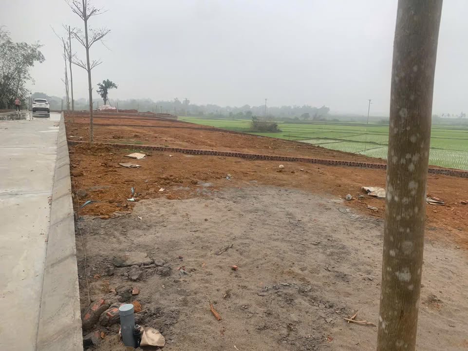 Đất nền 200m² Thạch Thất, Hà Nội - Ô tô vào tận đất, mặt tiền rộng