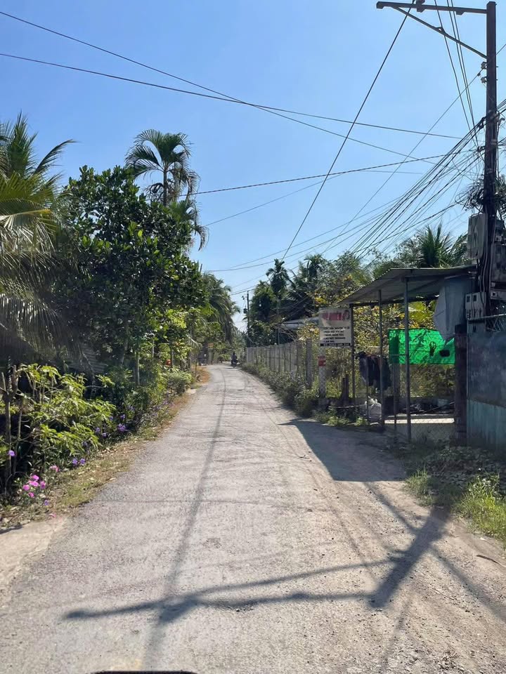 Đất Nền Cái Bè 378m² Giá 1.55 Tỷ - Sổ Hồng Sẵn Đường Ô Tô