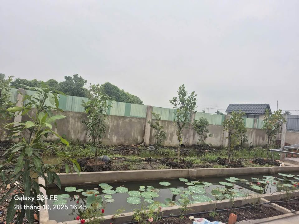 Đất nền Bình Mỹ Củ Chi 2041m² - Pháp lý rõ ràng, Sổ đỏ chính chủ!