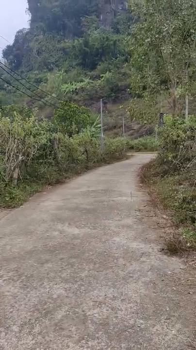 Đất Lô Góc Thị Trấn Mãn Đức, Tân Lạc, Hòa Bình - 330m² Giá Hơn 600 Triệu