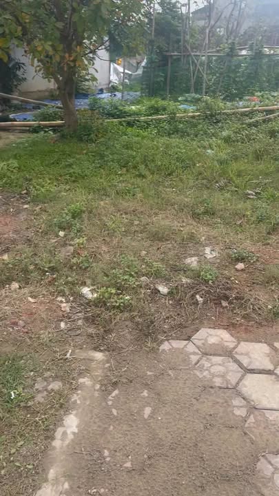 Đất Mặt Tiền Đường 72m Vinh - 107m² Giá 8 Tỷ Kinh Doanh Lý Tưởng