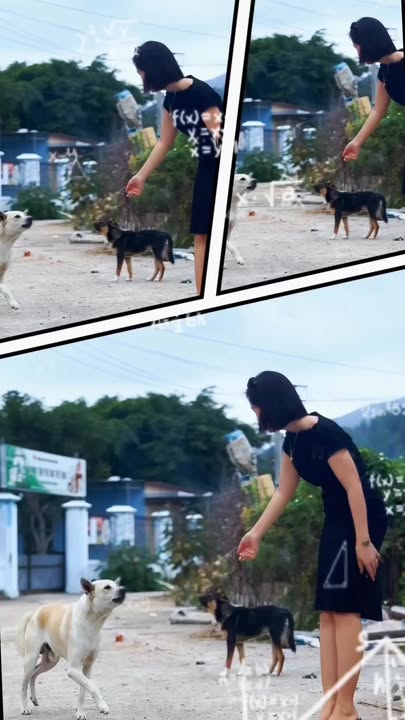 Đất nền Nha Trang 181m² - Sổ đỏ chính chủ, mặt tiền đẹp