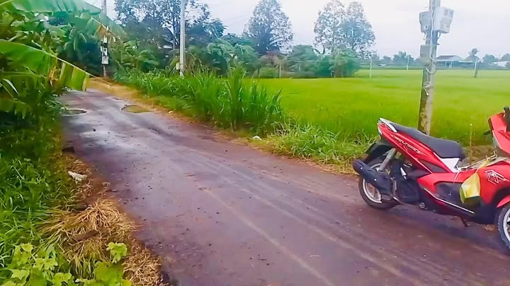 Đất nền Tân Hồng, Đồng Tháp 1375m² giá 1.9 tỷ - Sổ đỏ chính chủ!