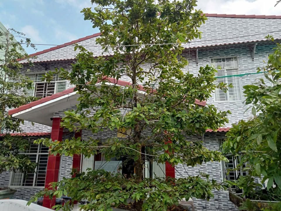 Nhà Mặt Tiền Quang Trung, Phú Giáo 341m² - Kinh Doanh, Đầu Tư Sinh Lời