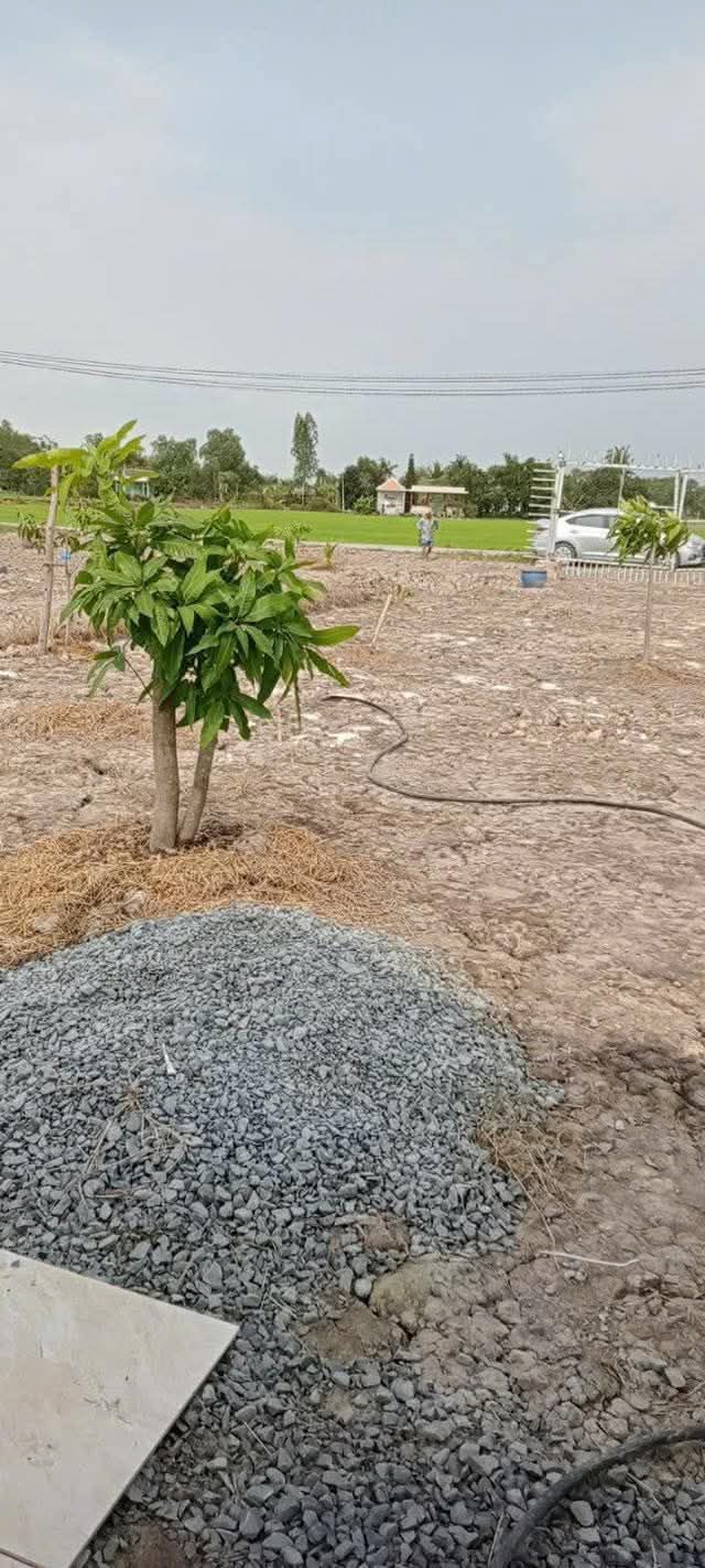 Đất Vườn Long An 2800m² - Giá 3 Tỷ, Sẵn Sàng Xây Dựng