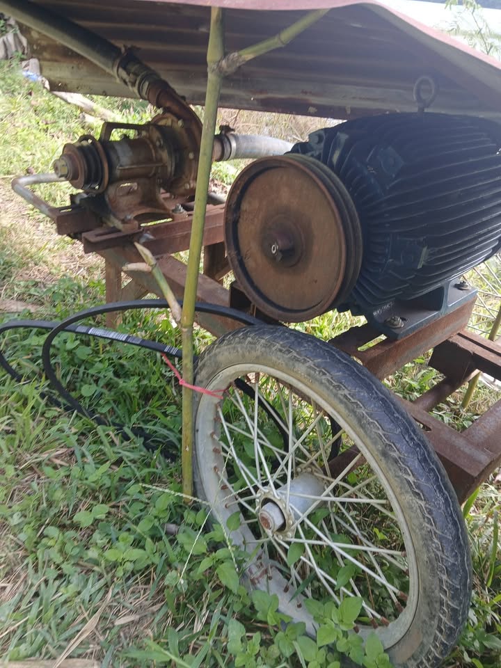 Bán Gấp Vườn Cà Phê Kinh Doanh 1.5ha Đăk Nuê - Sổ Đỏ, Đường Ô Tô