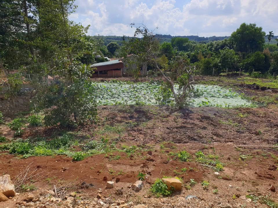 Đất nền Bình Long 1969m² - Giá đầu tư tốt, xây dựng tự do!