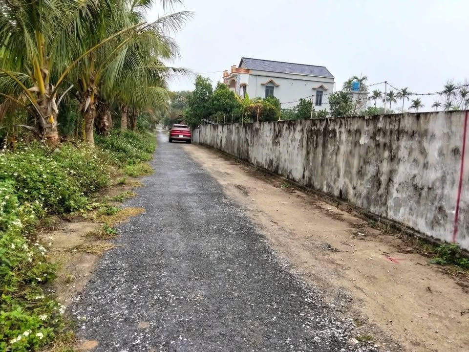 Đất nền Tân Học Thái Thụy 200m² giá 9xx triệu - Đường to ô tô