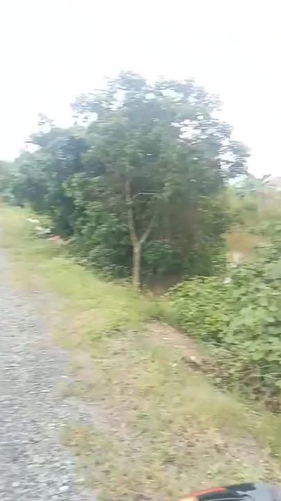 Đất Vườn Nghỉ Dưỡng Bến Lức, Long An - 2200m² Sổ Đỏ, Giá 3.5 Tỷ