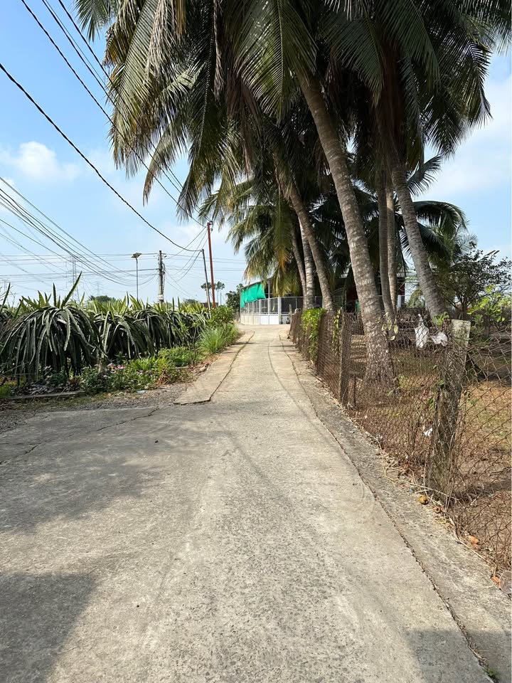 Đất vườn Châu Thành Long An 1012m² giá 900 triệu - Nghỉ dưỡng lý tưởng!