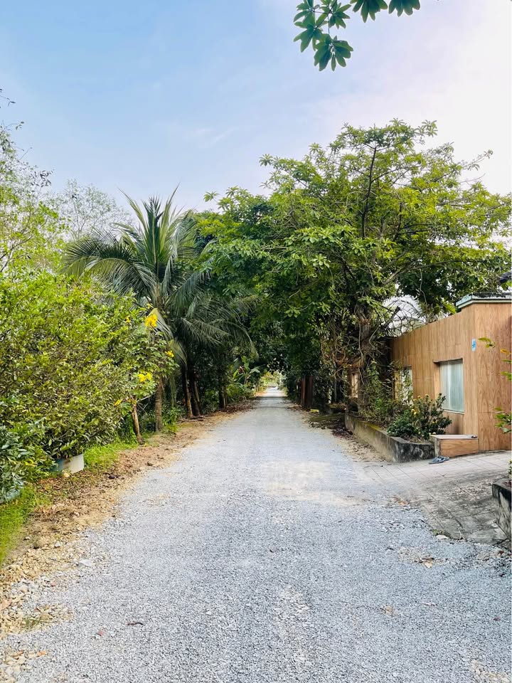 Đất Vườn 1000m² Lương Bình, Bến Lức - Sổ Hồng Riêng, Giá Đầu Tư 1.29 Tỷ