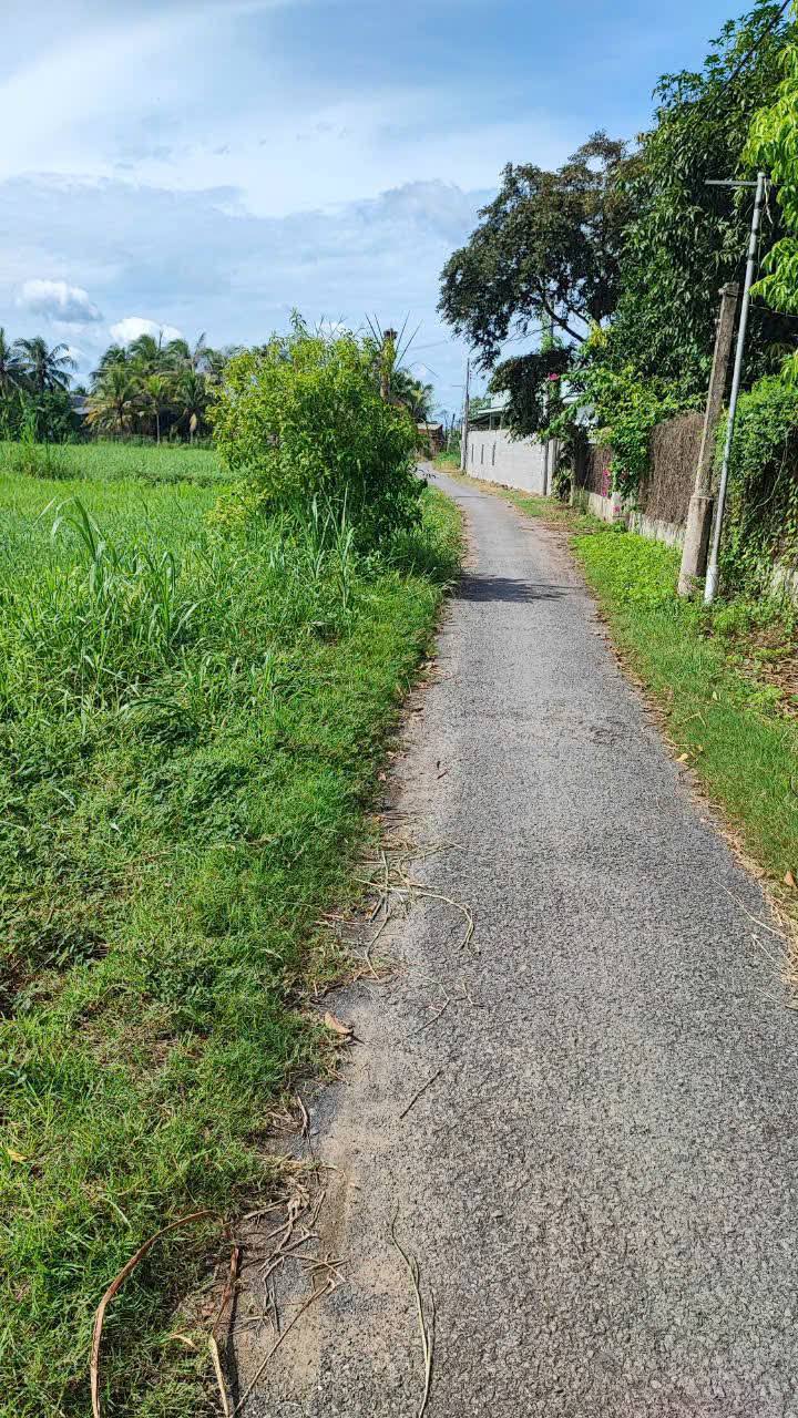 Đất nền Tân Hương, Châu Thành, Đồng Tháp 192m² & 386m² - Sổ đỏ chính chủ!