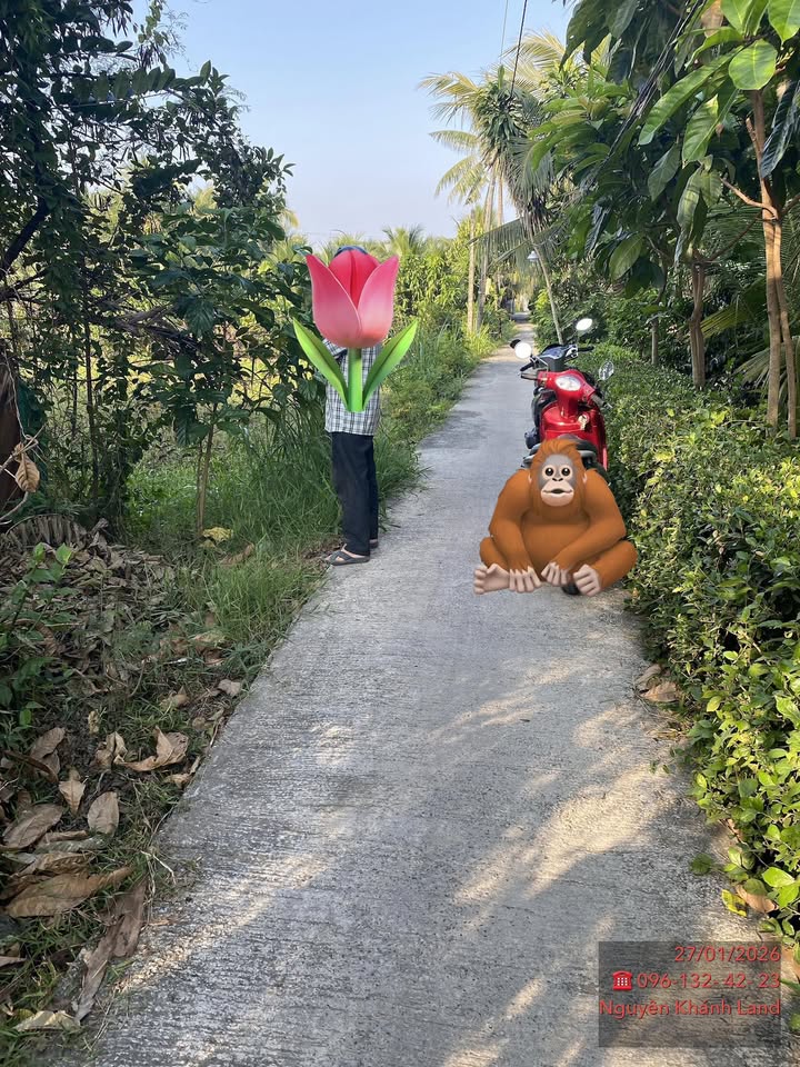 Đất nền Phường Phú Khương 101m² - Thổ cư 99%, xây dựng tự do!