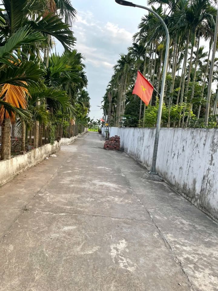 Bán đất Xóm 4 Hải Phong 508m² - Lô góc, tiềm năng kinh doanh cực tốt