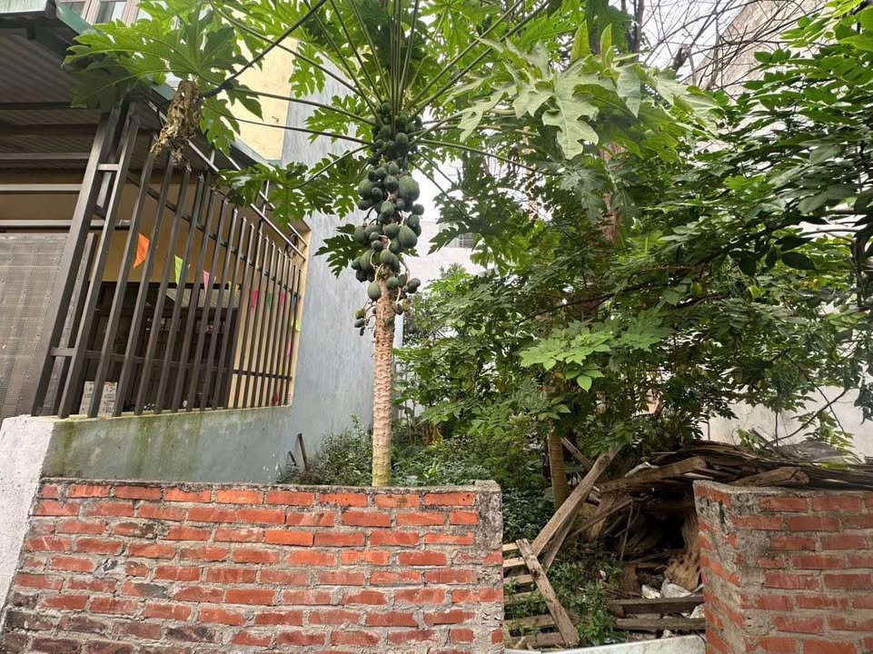 Đất nền Du Nội, Đông Anh 70m² - Sổ đỏ sẵn, tiềm năng lớn