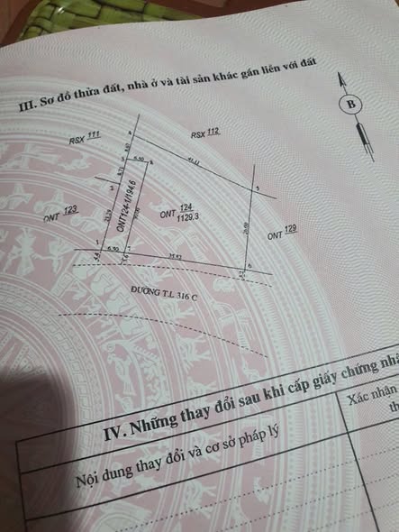 Đất nền Võ Miếu, Thanh Sơn, Phú Thọ - 194m² thổ cư, kinh doanh tốt