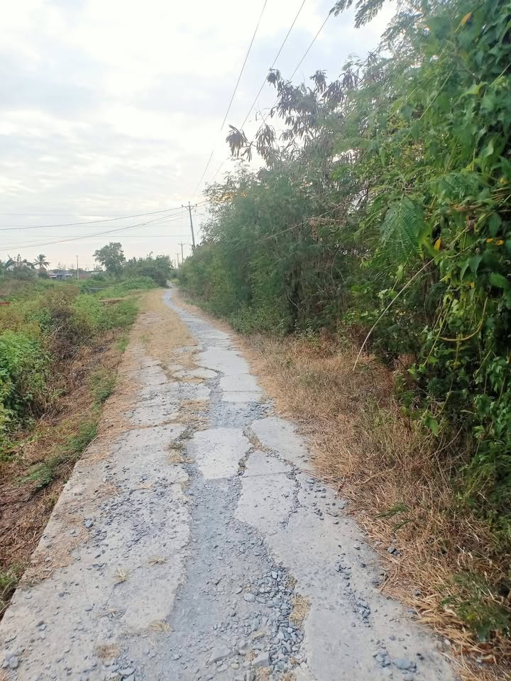 Đất nền Vĩnh Hậu A, Bạc Liêu 1700m² - Sổ đỏ chính chủ!