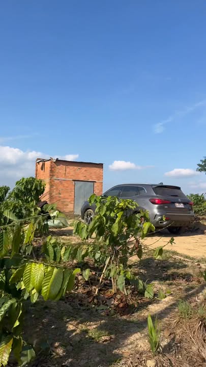 Đất vườn 8800m² Ngã tư Trúc Sơn, Cư Jút - Cơ hội đầu tư dài hạn!