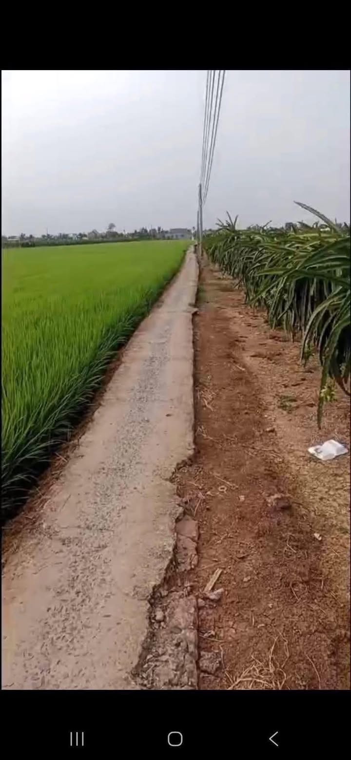 Đất Nền Gò Công Đông 300m² 240 Triệu - Sổ Đỏ Chính Chủ!