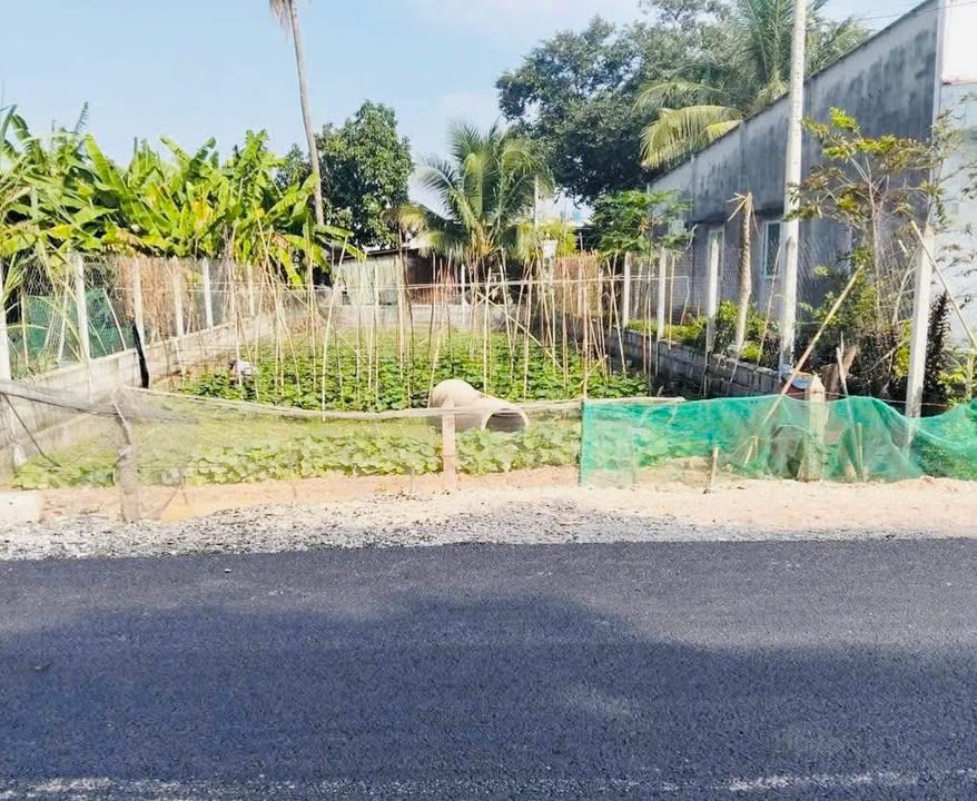 Đất nền Phước Vĩnh An Củ Chi 212m² - Sổ đỏ chính chủ giá tốt