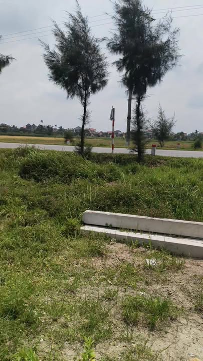 Đất nền Ninh Giang, Vĩnh Bảo 100m² - Sổ đỏ sẵn, hạ tầng hoàn thiện!