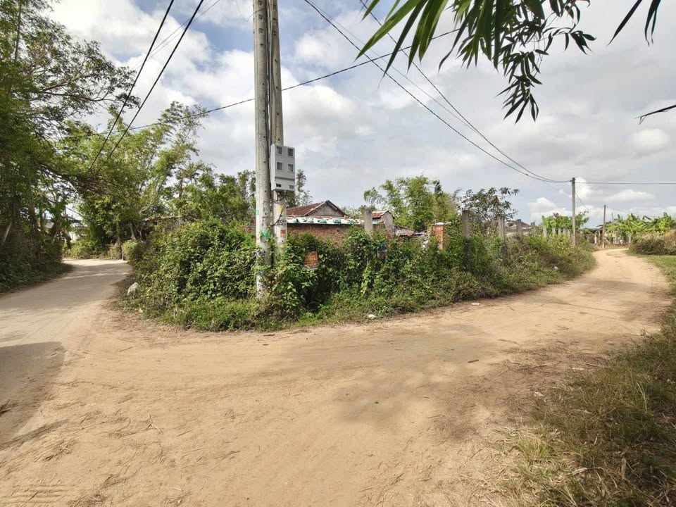 Đất Nền An Đức Cát Trinh: 6 Lô Sổ Hồng Riêng, Giá Chỉ Từ 2xx Triệu/100m²