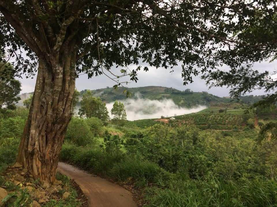 Đất vườn Ninh Loan, Lâm Đồng 4ha - Cơ hội đầu tư dài hạn!