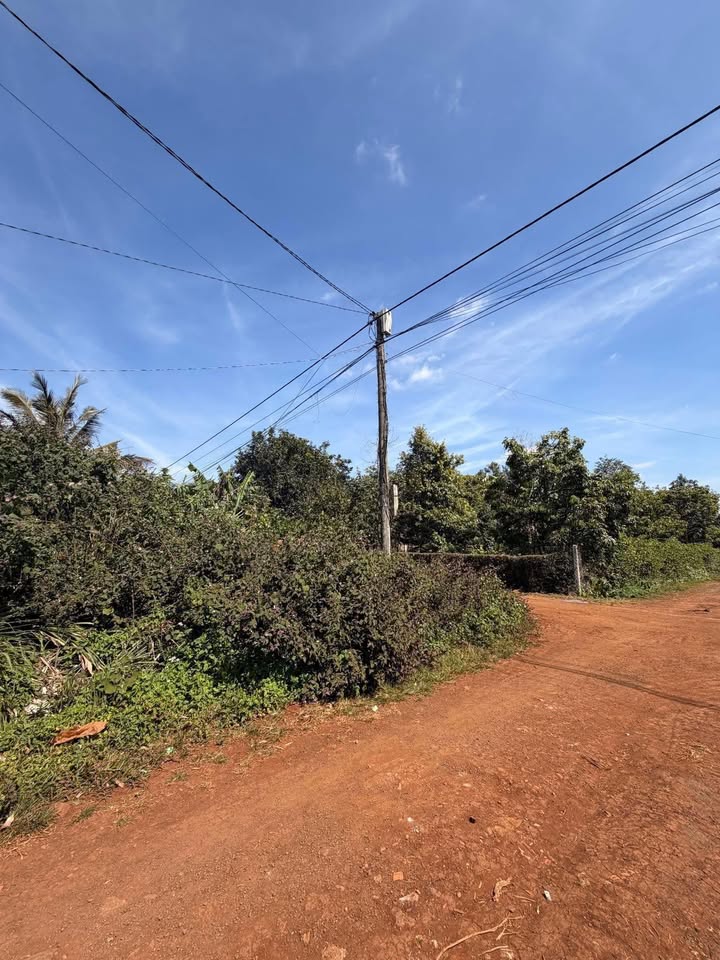 Đất nền Buôn Hồ 113m² Đường Y Đôn - Sổ đỏ chính chủ, ô tô vào tận nơi!