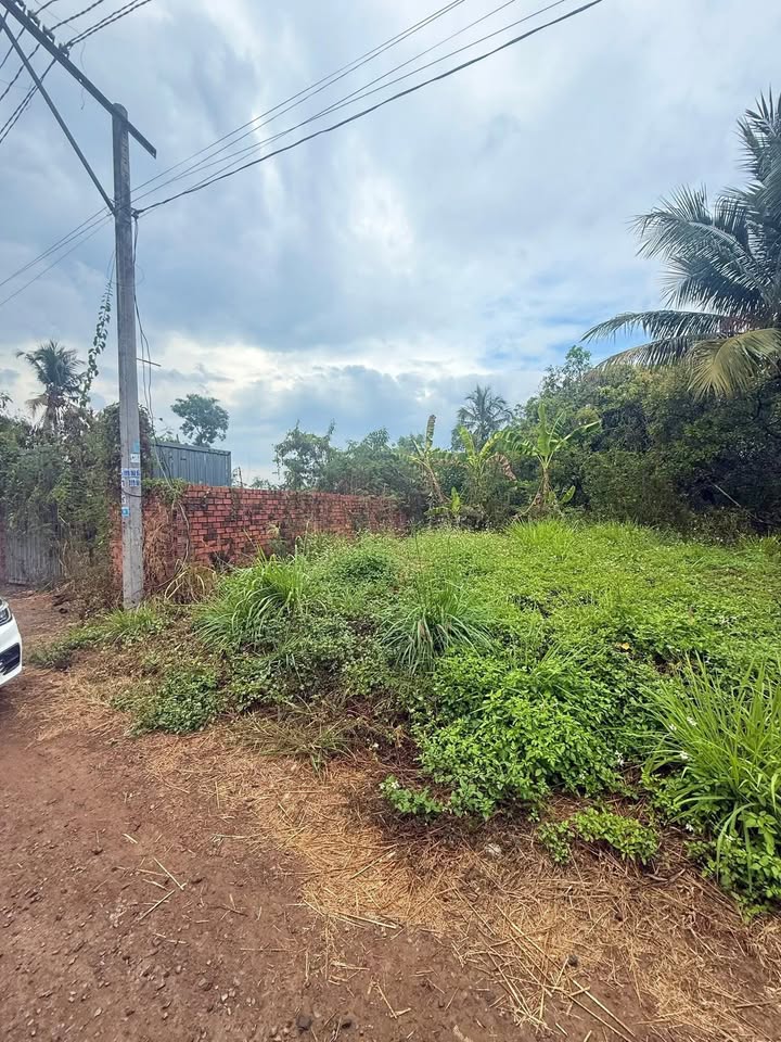 Đất nền Long Khánh 111m² 990 triệu - Sổ đỏ chính chủ, xây dựng tự do!