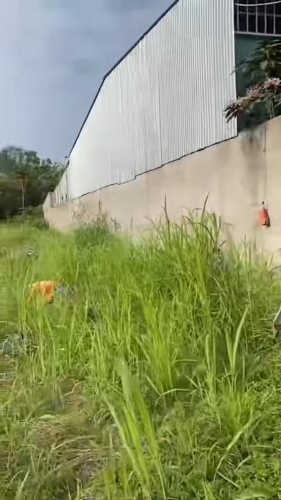 Bán Đất Mặt Tiền QL30 Mỹ Hiệp 930m² - Sổ Hồng Sẵn Pháp Lý Rõ Ràng