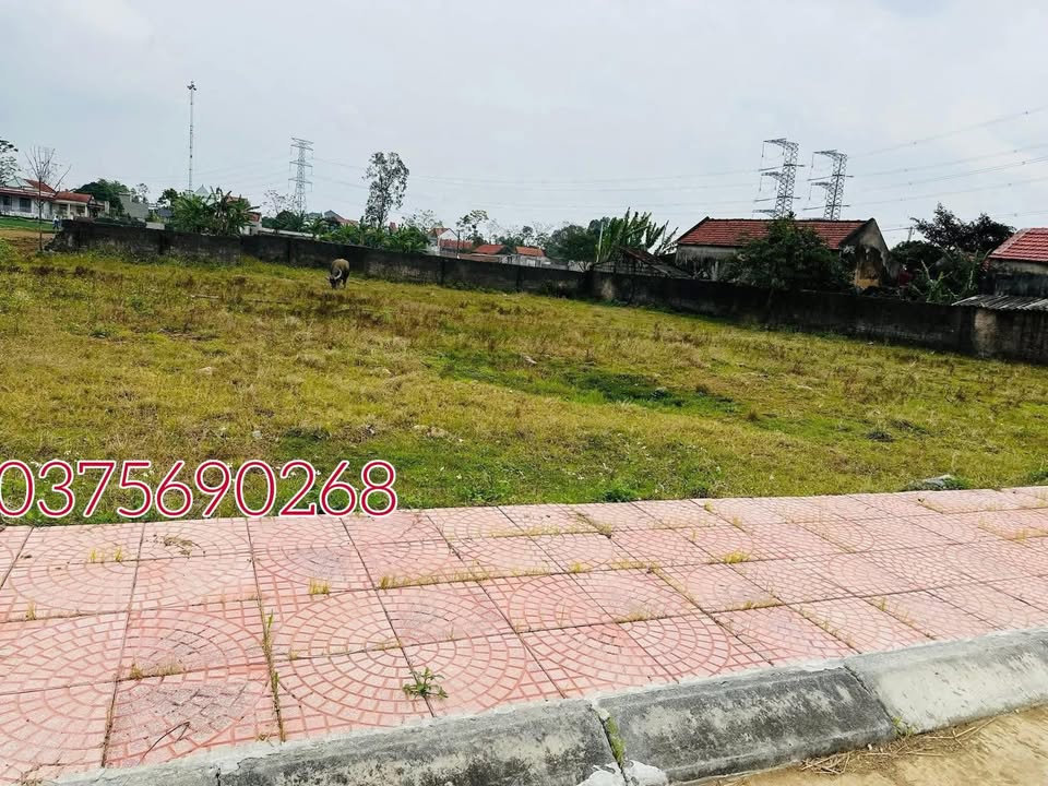 Bán Nhanh 2 Lô Liền Kề Nga Thiện, Thanh Hóa - 90m² Thổ Cư, Giá Chỉ Từ 2.x Tỷ