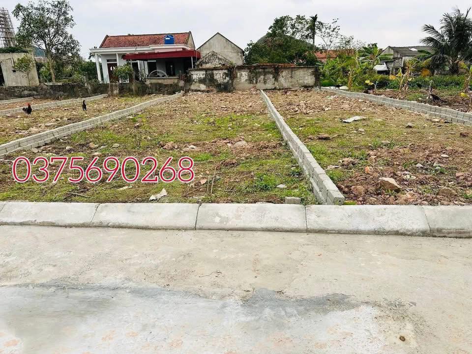 Đất nền Nga Sơn 1050m² sổ hồng sẵn - Cơ hội đầu tư sinh lời