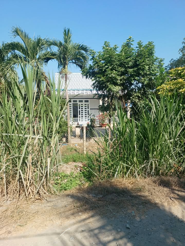 Bán Gấp Nhà Vườn 5875m² Mặt Tiền Kênh Basa, Đức Hòa - Giá Đầu Tư